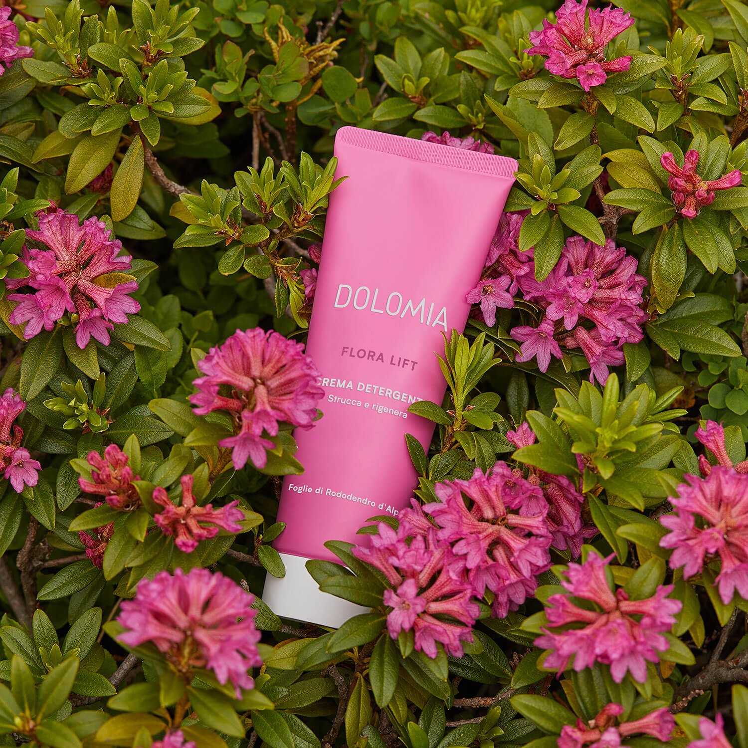 Crema Detergente - Image 3
