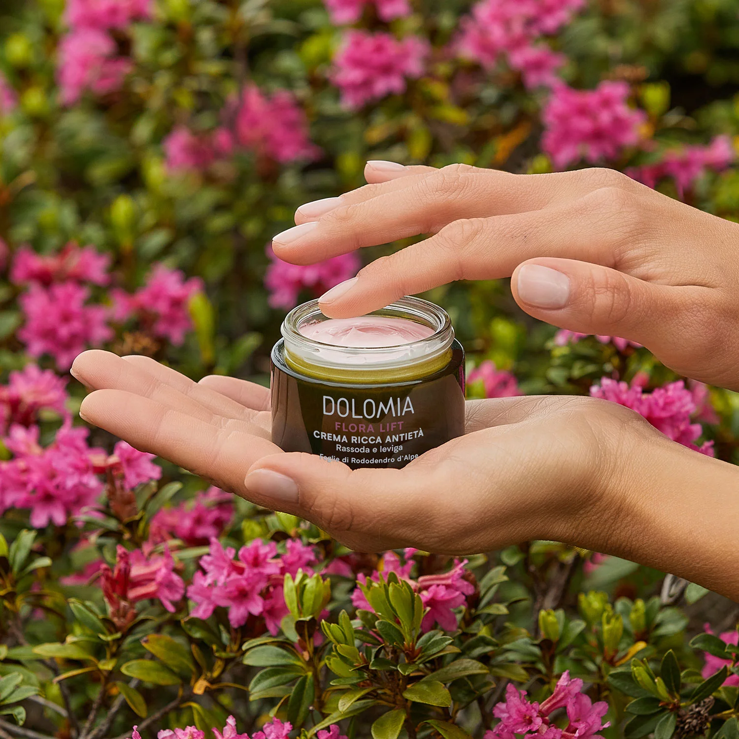 Crema Ricca Antietà - Image 3