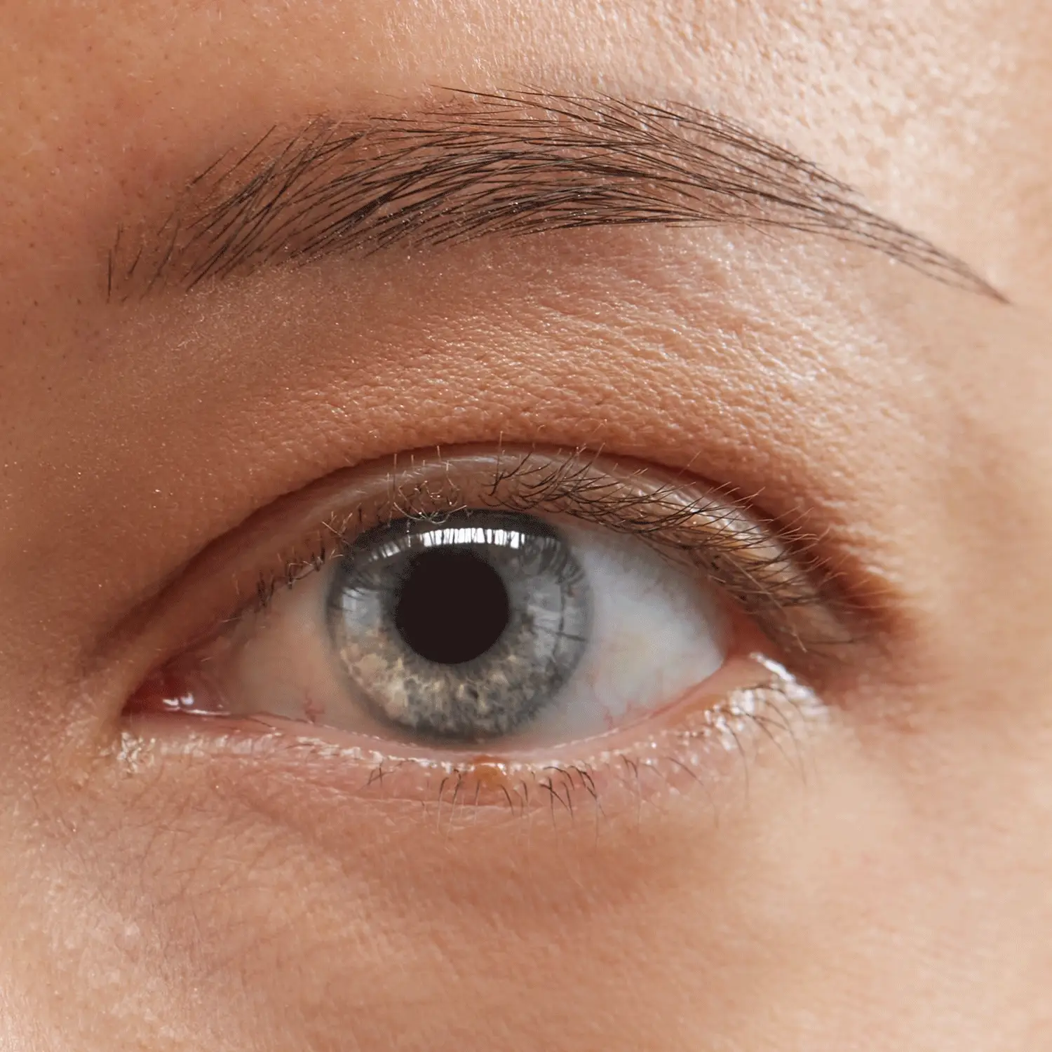 Mascara Comfort - Image 4