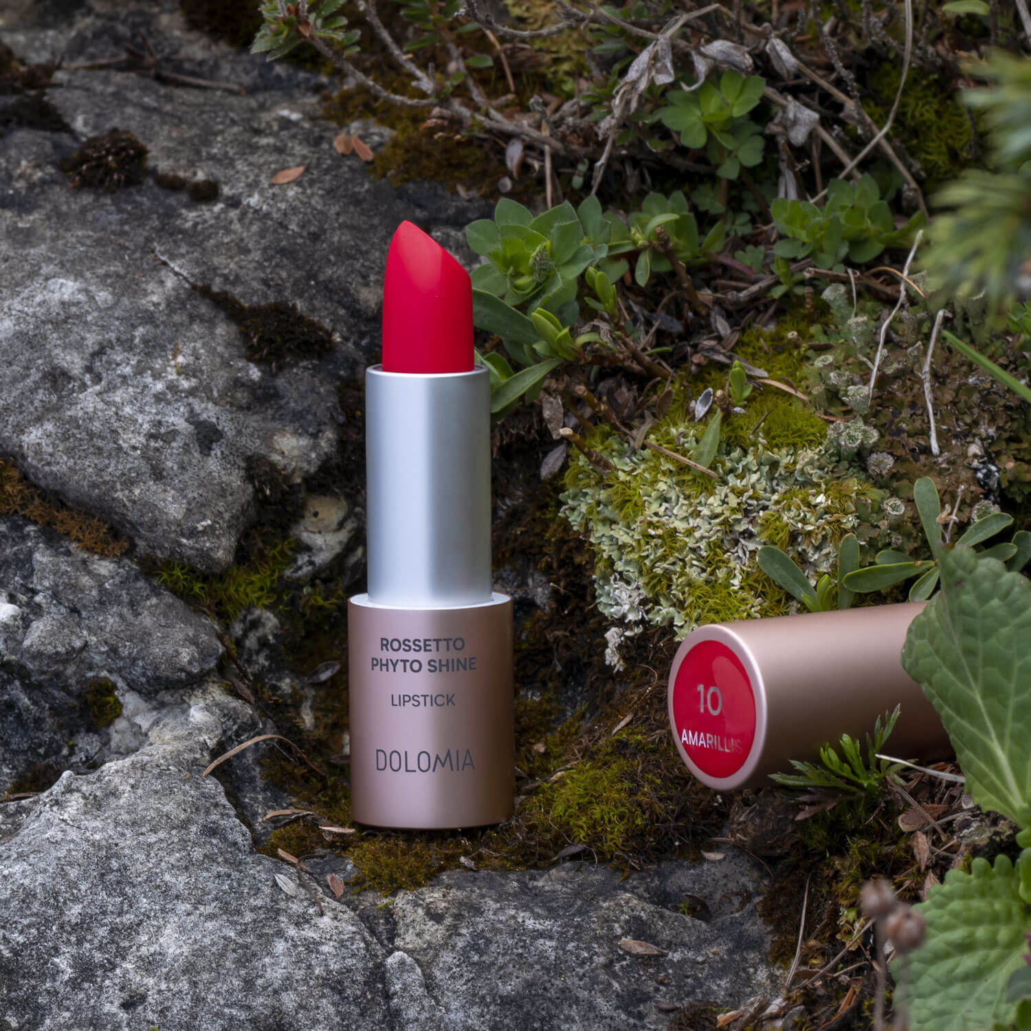 Rossetto Phyto Shine - Image 12