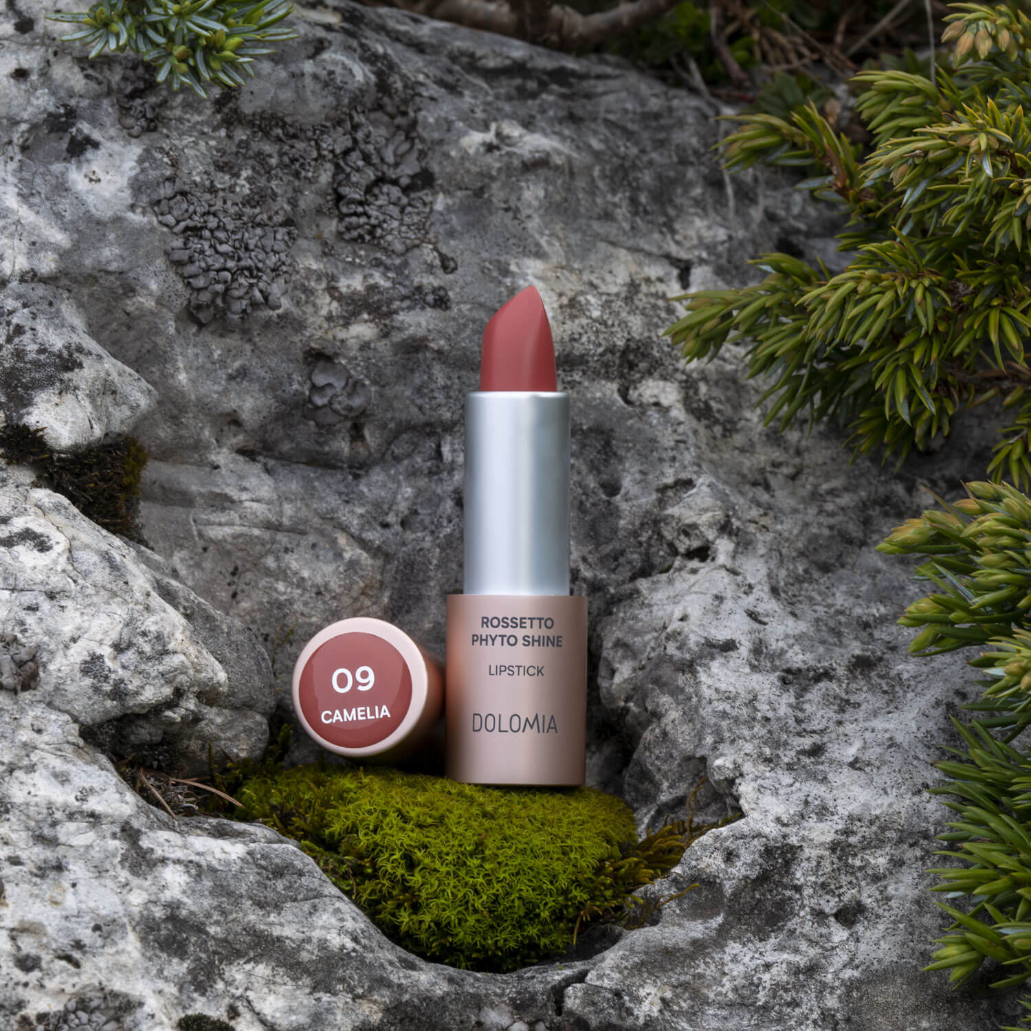 Rossetto Phyto Shine - Image 17