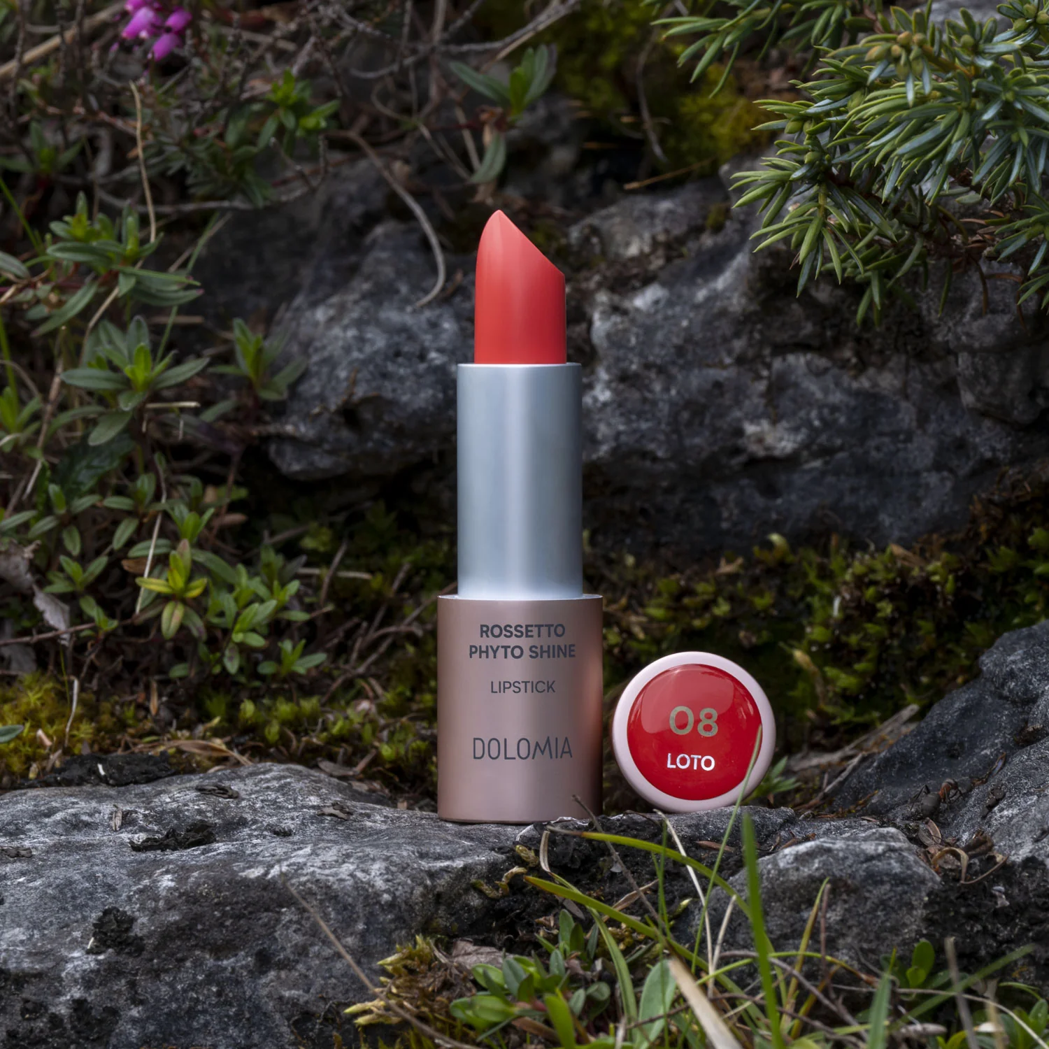Rossetto Phyto Shine - Image 22
