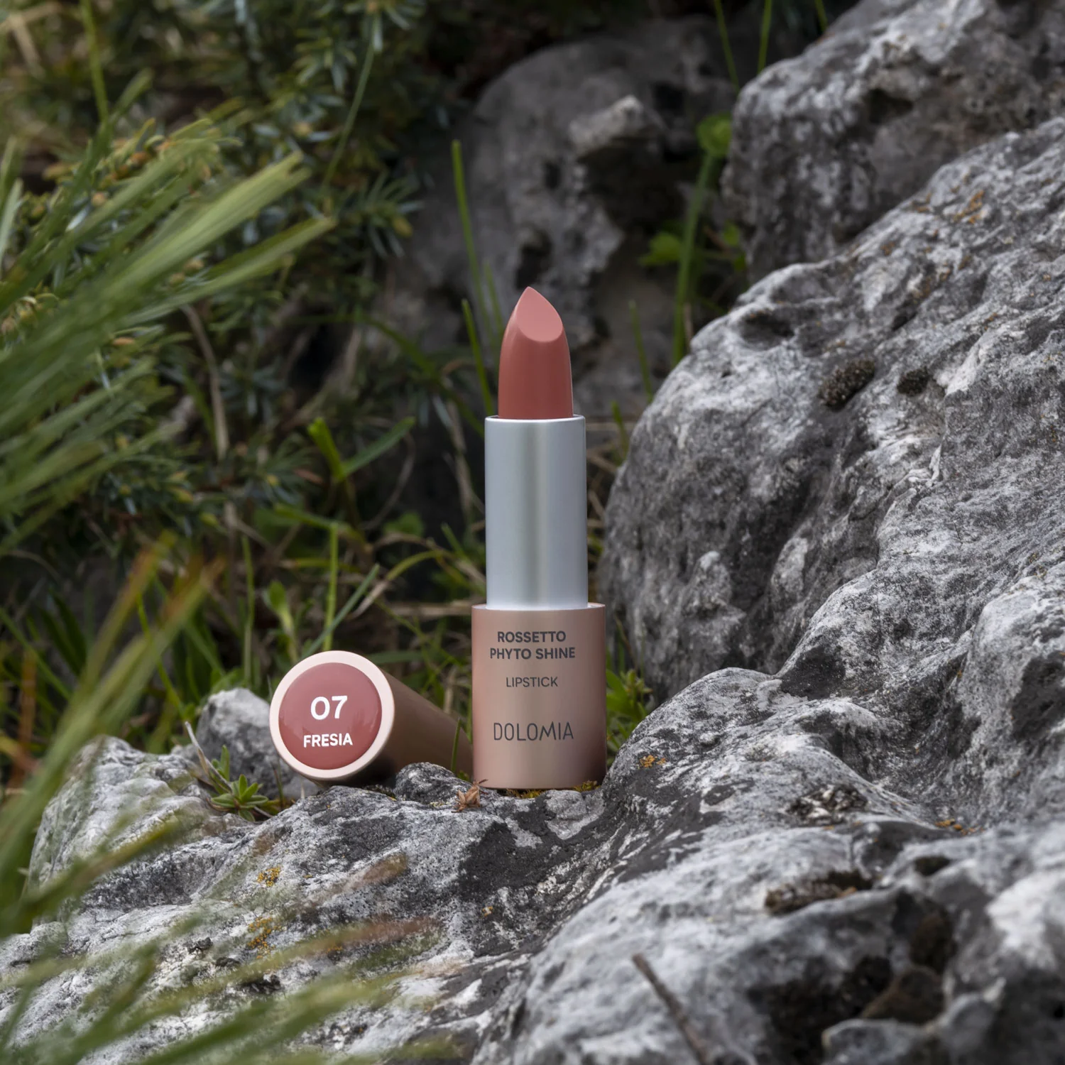 Rossetto Phyto Shine - Image 27