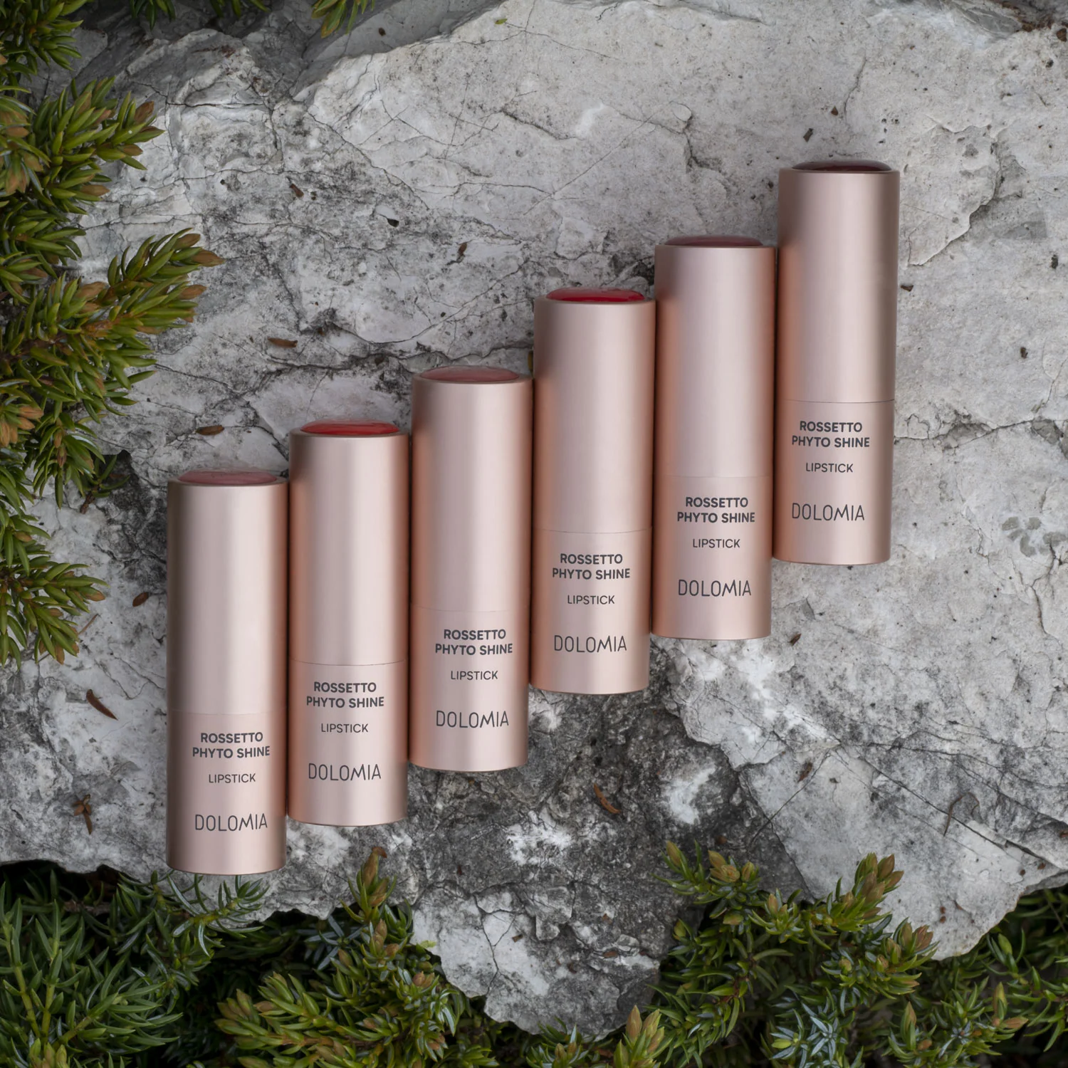 Rossetto Phyto Shine - Image 5