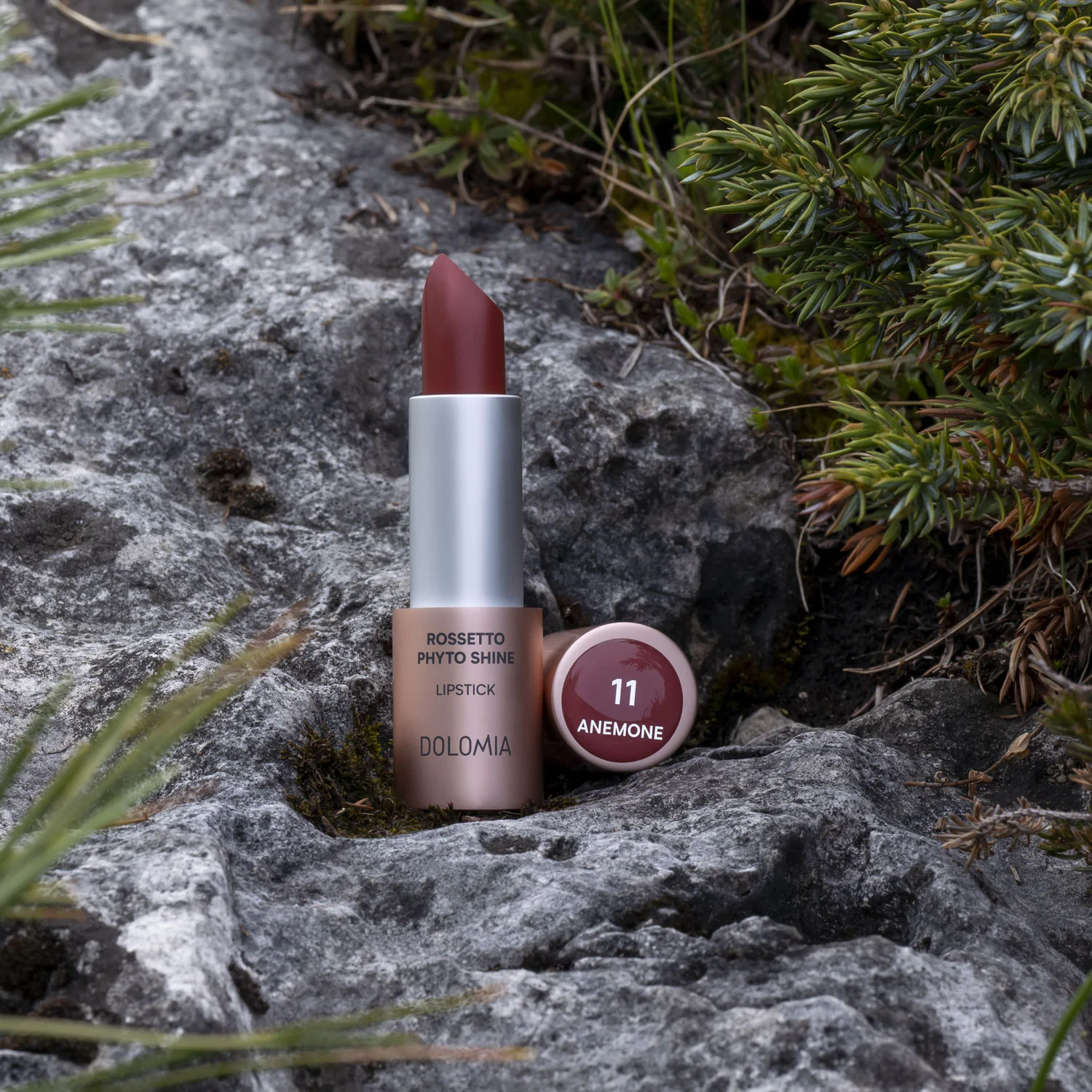 Rossetto Phyto Shine - Image 7