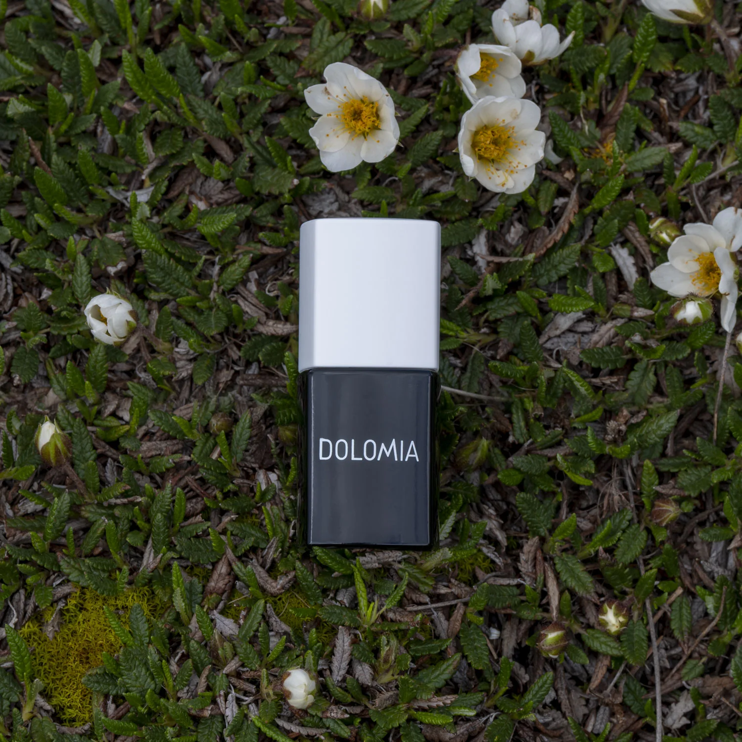 Top Coat UV - Image 2